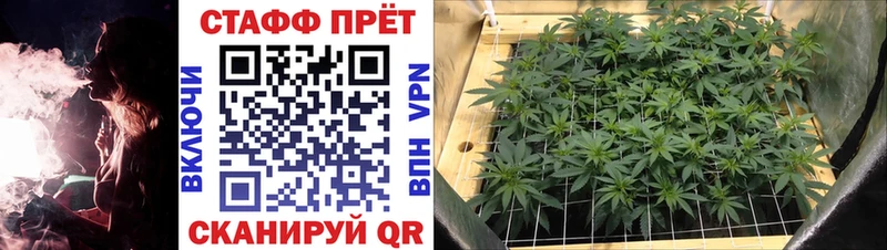 Виды наркоты Балашиха ГАШИШ Метамфетамин МЕФ Cocaine Амфетамин