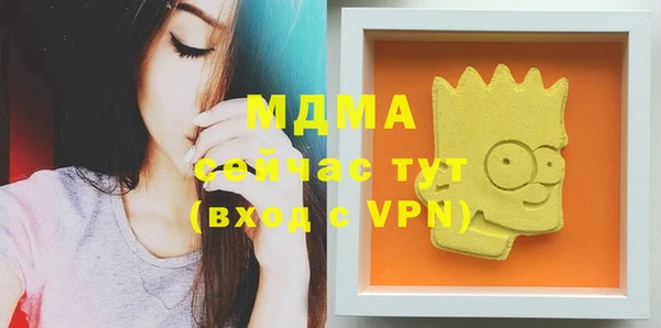 спиды Богородицк