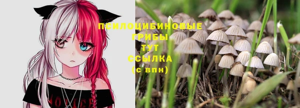 прущие крисы Бронницы