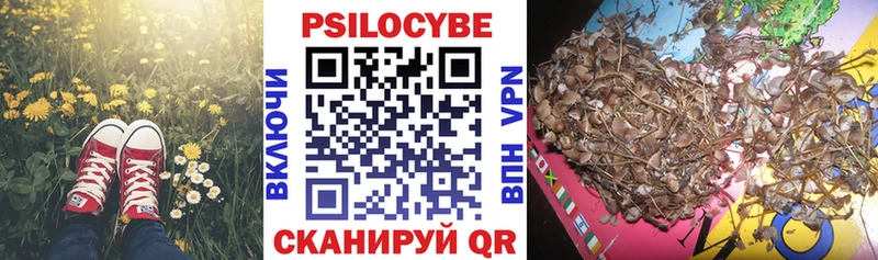 где купить наркоту  Балашиха  МЕГА ONION  Псилоцибиновые грибы MAGIC MUSHROOMS 