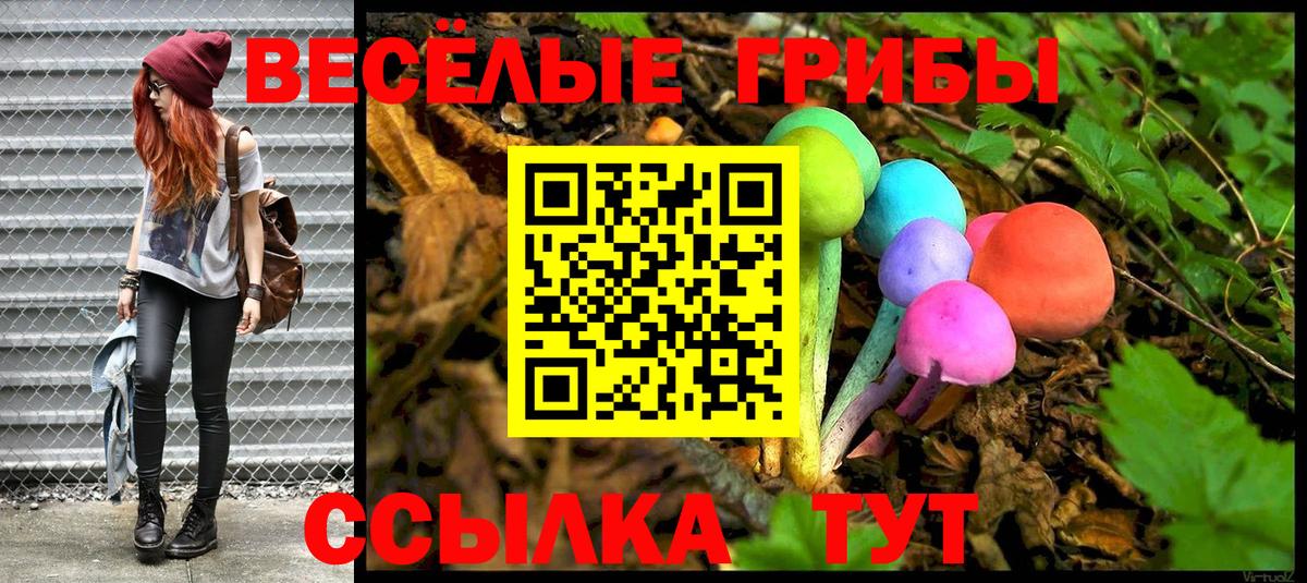 Галлюциногенные грибы Psilocybe Балашиха